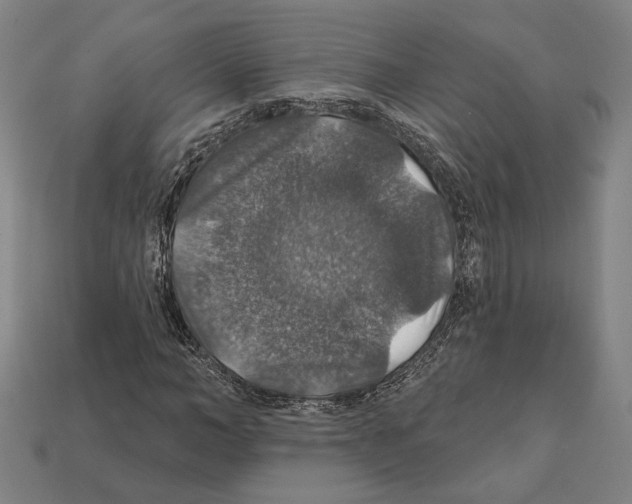 X0000112020966200909141032