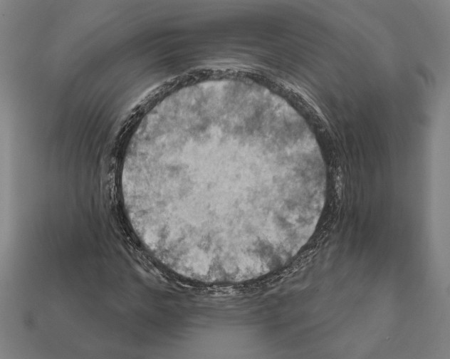 X0000112020968200909141032