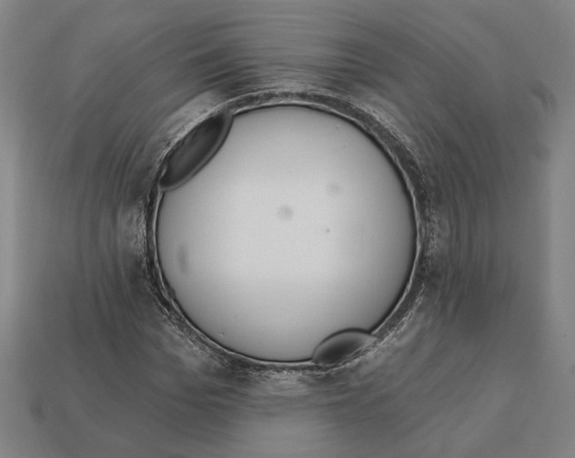 X0000112020969200909141032