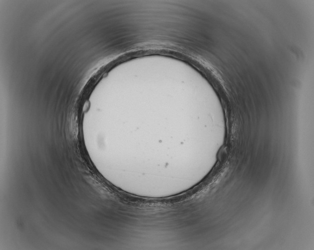 X0000112020973200909141032