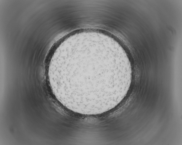 X0000112020974200909141032