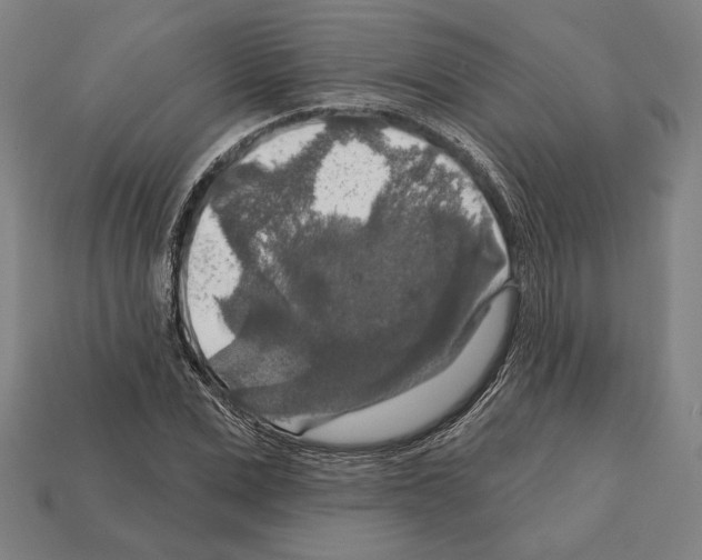 X0000112020975200909141032