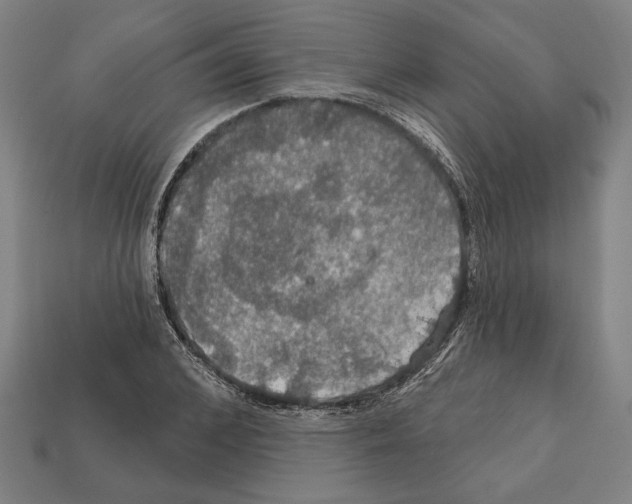 X0000112020976200909141032