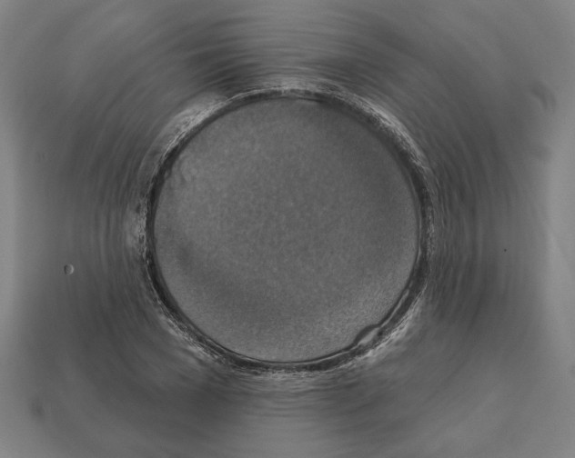 X0000112020977200909141032