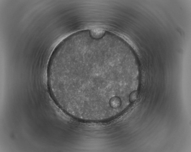 X0000112020980200909141032