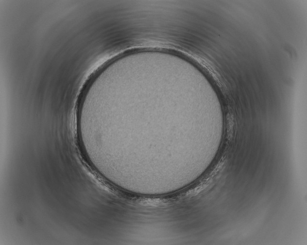 X0000112020982200909141032