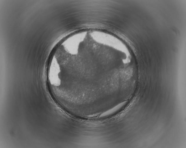 X0000112020983200909141032