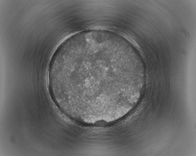 X0000112020984200909141032