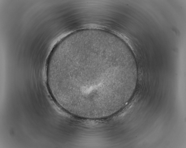 X0000112020987200909141032