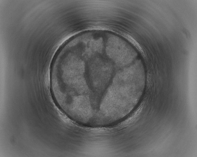 X0000112020988200909141032