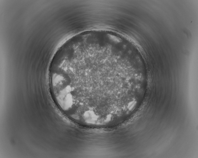 X0000112020990200909141032