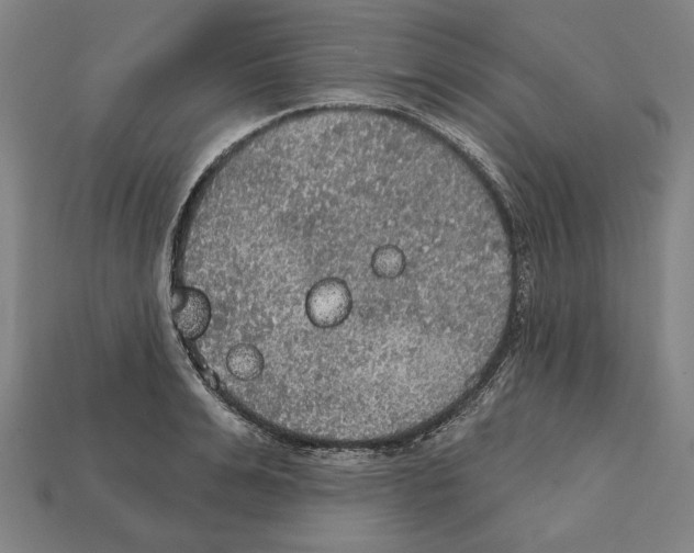 X0000112020991200909141032