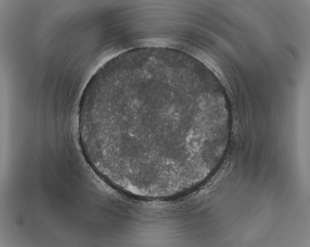 X0000112020992200909141032