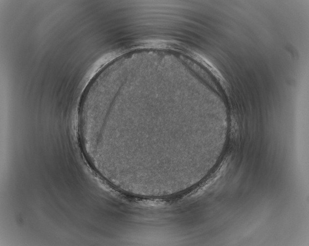 X0000112020994200909141032