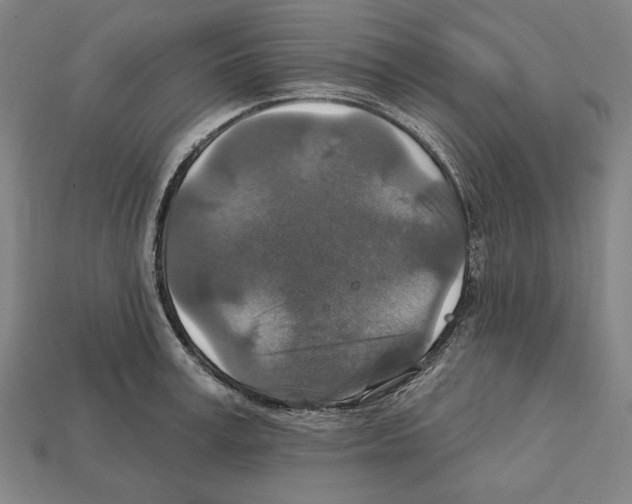 X0000112020995200909141032