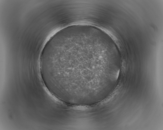 X0000112020998200909141032