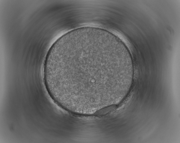 X0000112020999200909141032