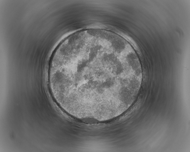 X0000112021000200909141032