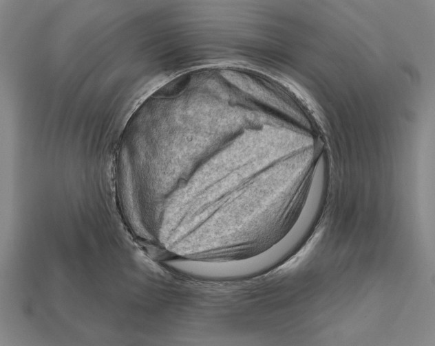 X0000112021001200909141032