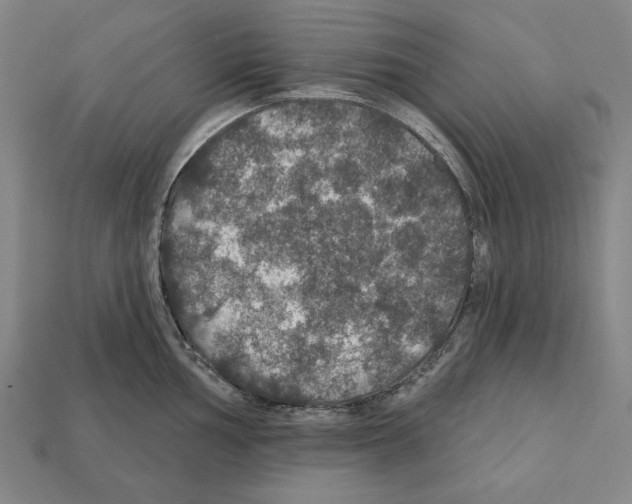 X0000112021002200909141032