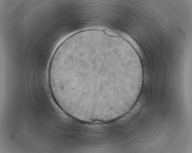 X0000112021004200909141032