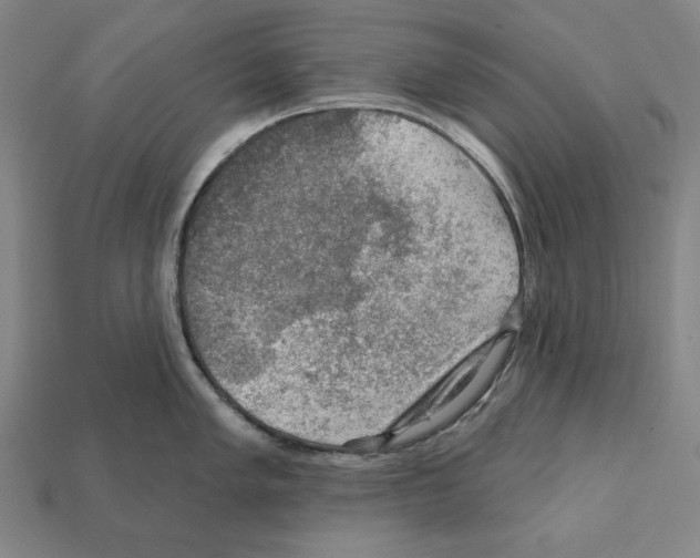 X0000112021005200909141032