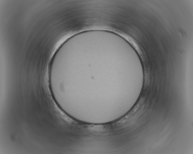 X0000112021006200909141032