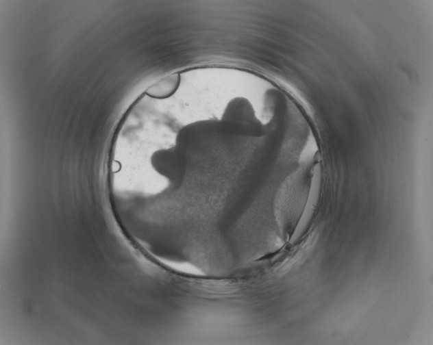 X0000112021007200909141032