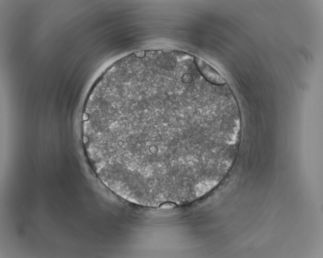 X0000112021008200909141032