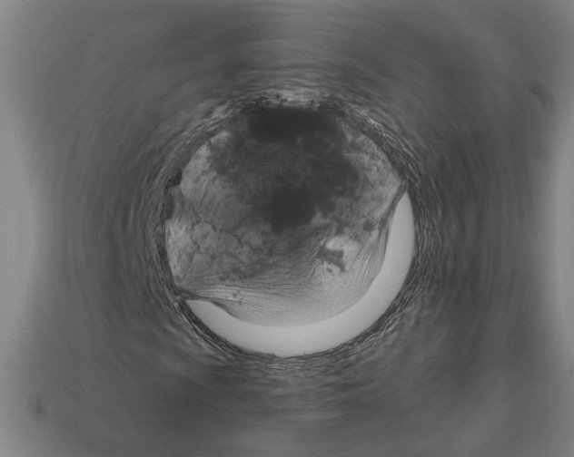 X0000112021009200909141031