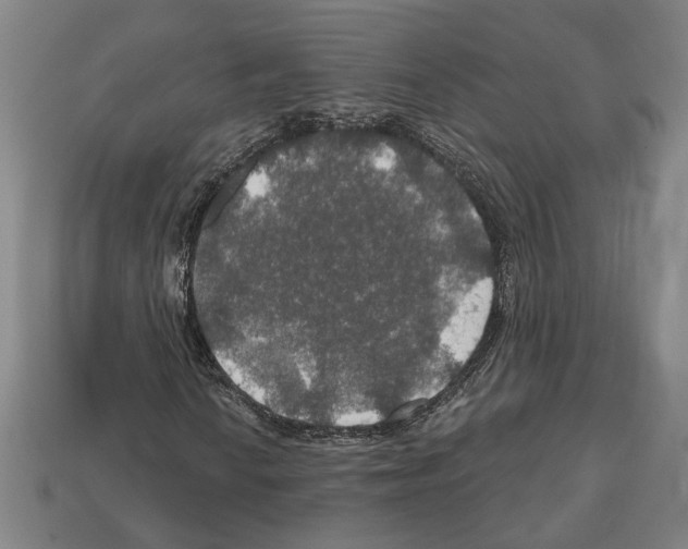 X0000112021010200909141031