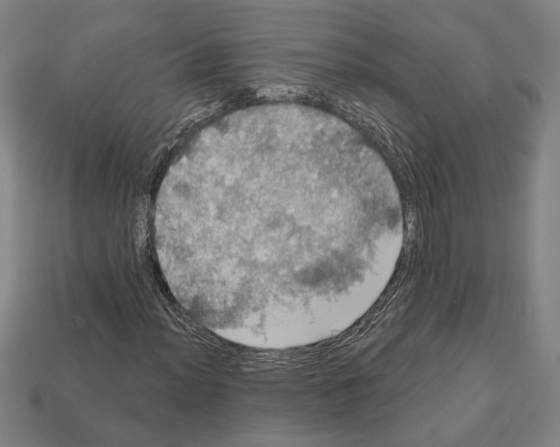 X0000112021012200909141031