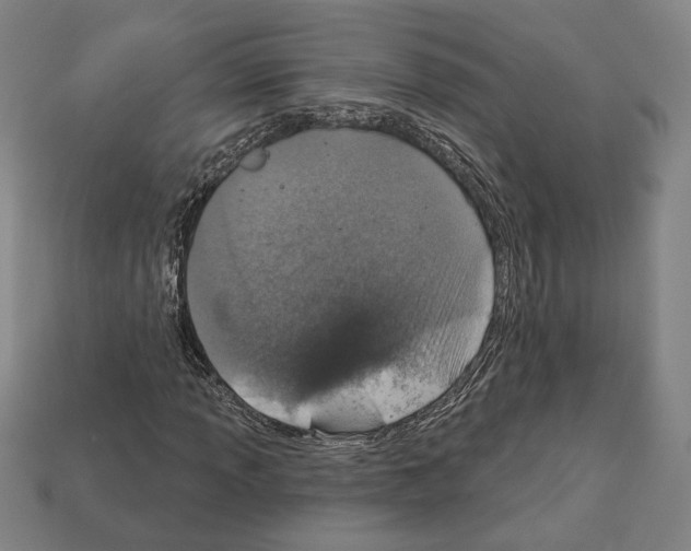 X0000112021013200909141031