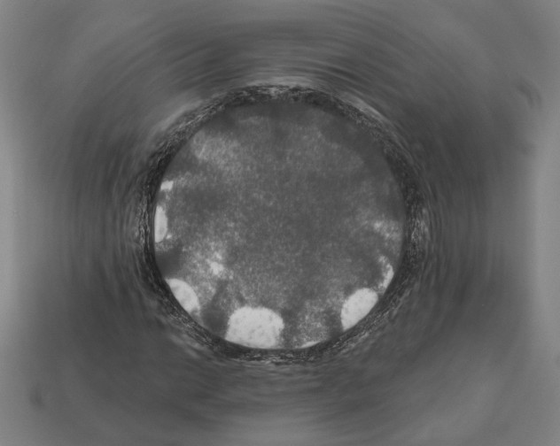 X0000112021014200909141031