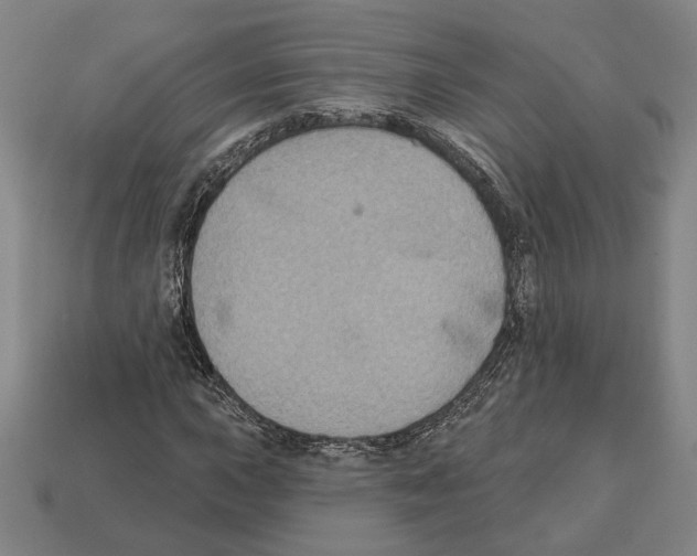 X0000112021015200909141031