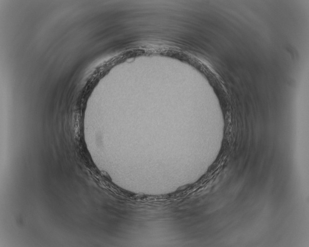 X0000112021016200909141031