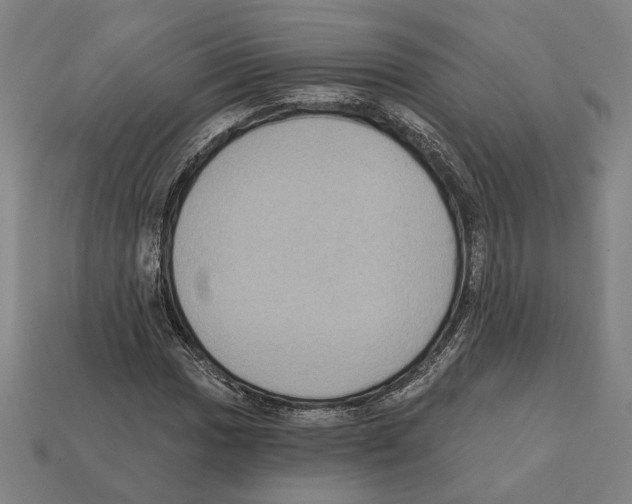 X0000112021017200909141031