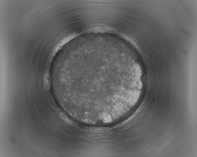 X0000112021018200909141031