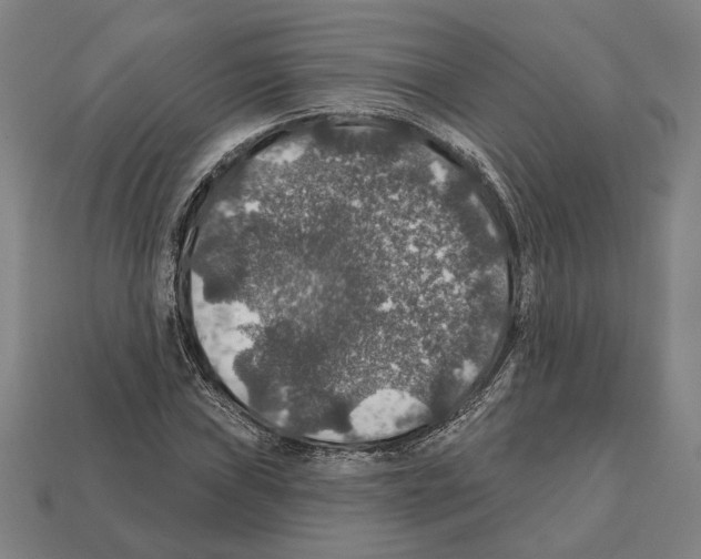 X0000112021019200909141031