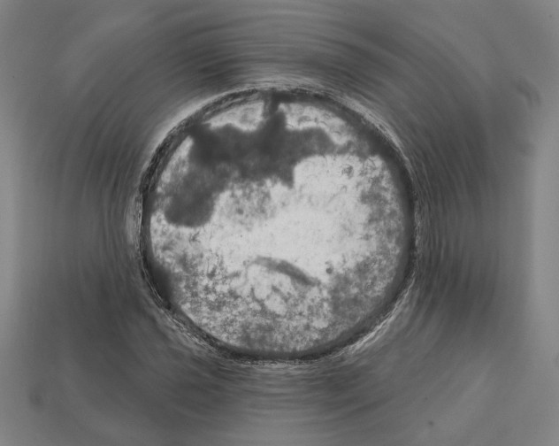 X0000112021021200909141031