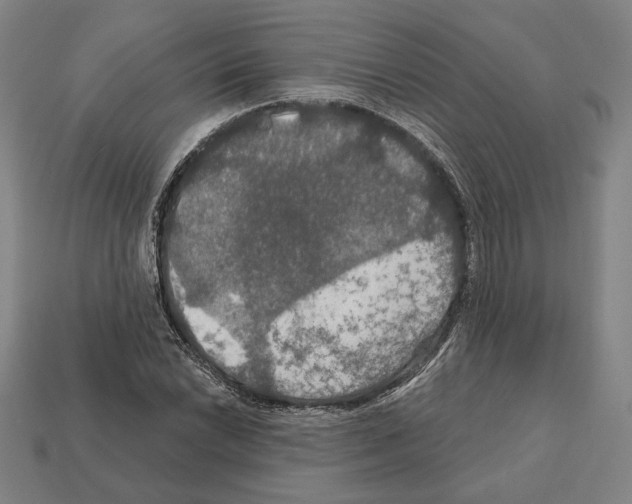 X0000112021022200909141031