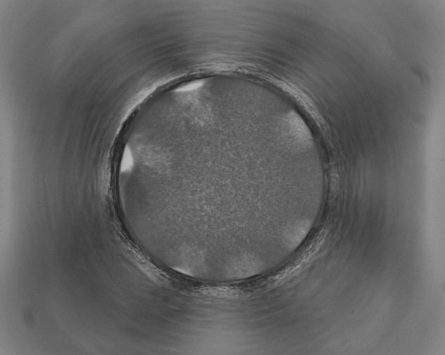 X0000112021023200909141031