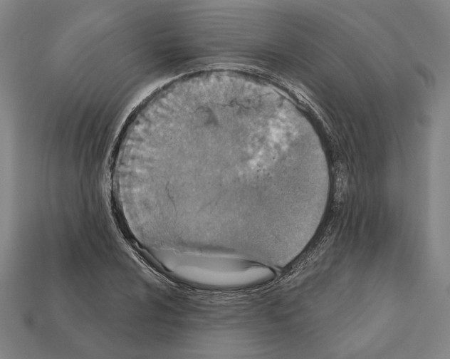 X0000112021024200909141031