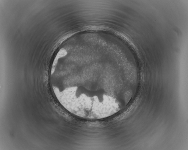 X0000112021025200909141031