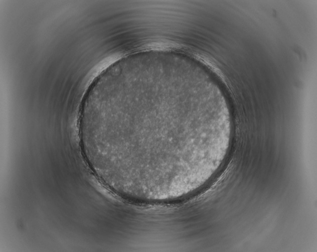 X0000112021026200909141031