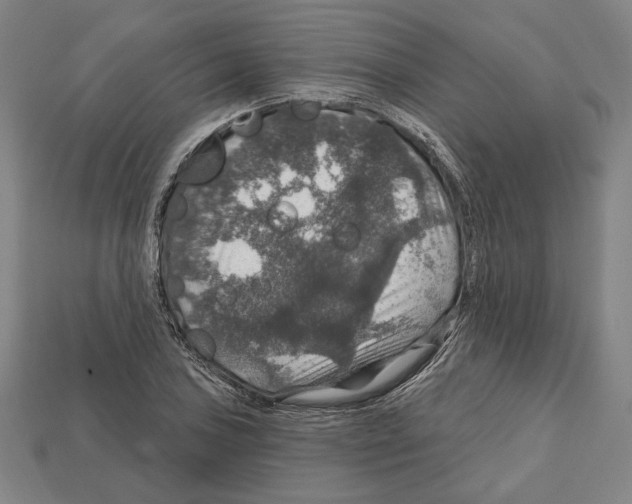 X0000112021027200909141032