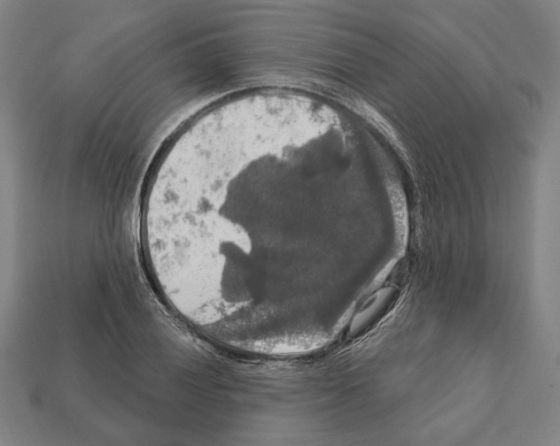 X0000112021028200909141032