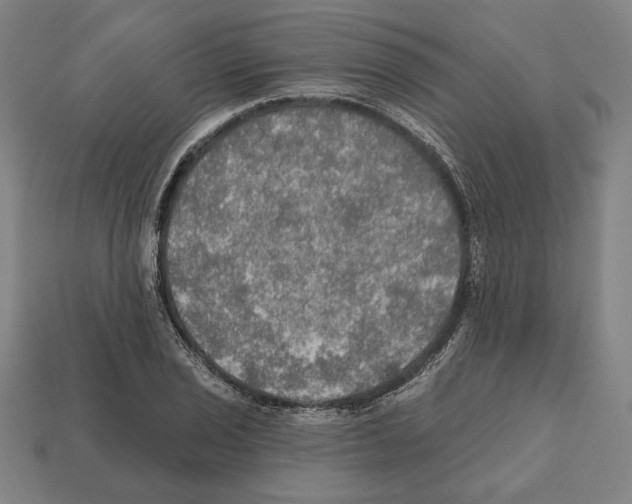 X0000112021029200909141032