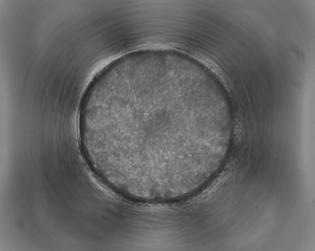 X0000112021030200909141032