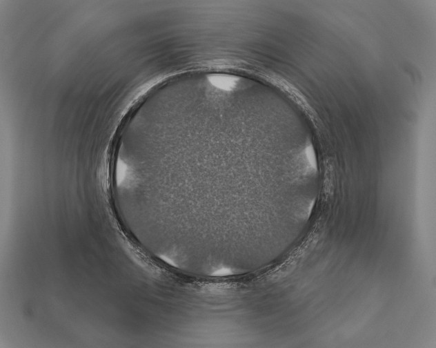 X0000112021031200909141032